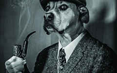The Real Inspector Hound
